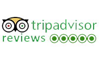 Trip Advisor Review